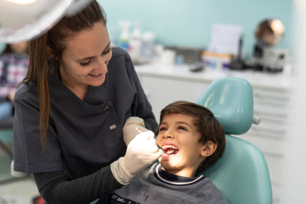Best Emergency Dental Care for Trauma or Injury in Jamestown, ND